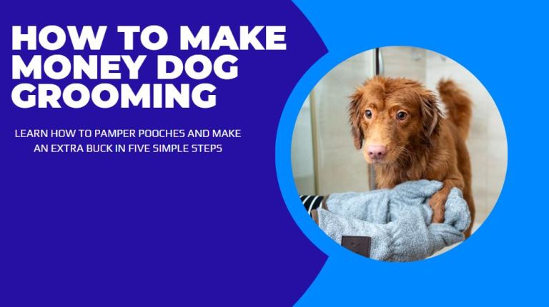 how to make money dog grooming